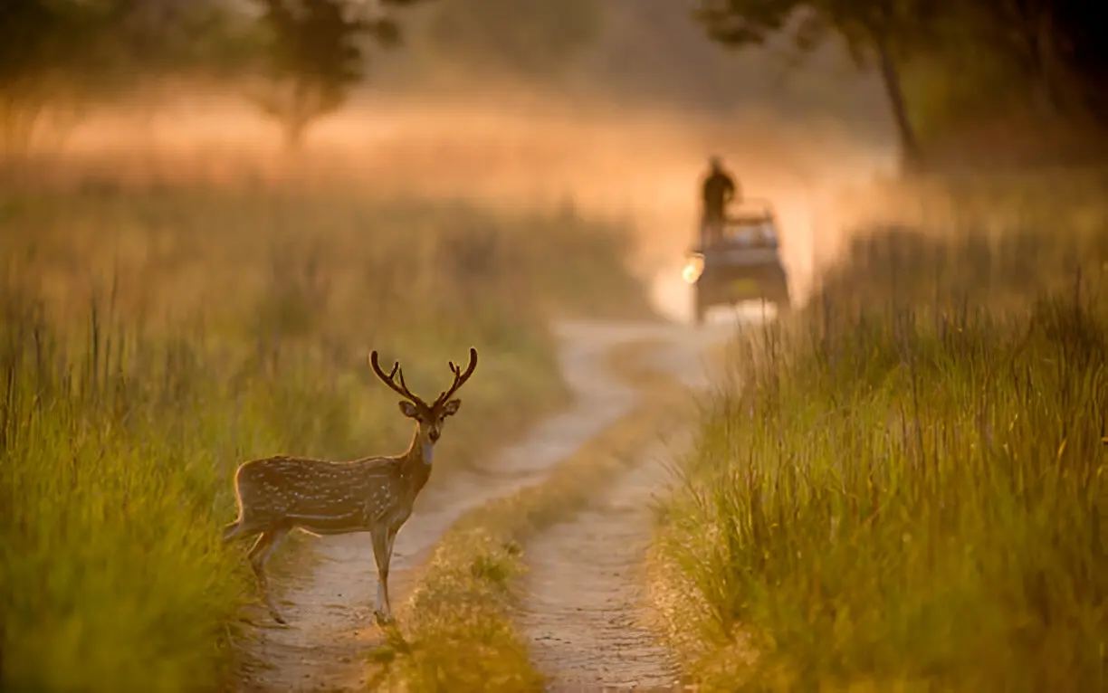 destination